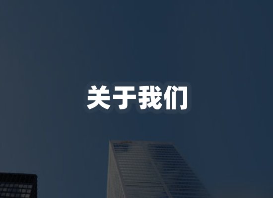 专业团队